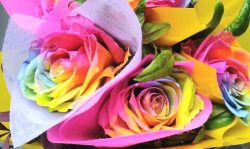 “Rainbow roses bouquet”
