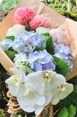 “Mums with Phalaenopsis Orchid and Hydrangea Flowers bouquet”