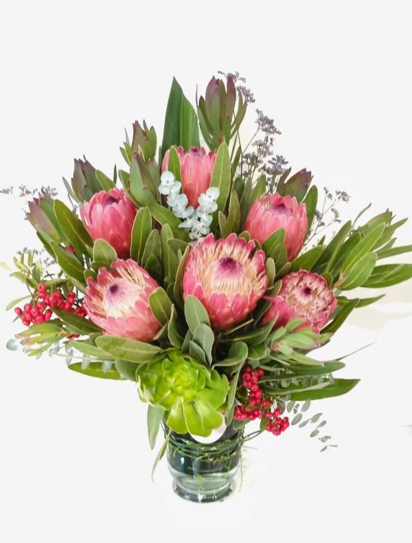 "protea native flowers in vase"